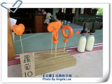 宜蘭宜農牧場:【宜蘭行】第三站:宜農牧羊場♡與羊共舞.小動物超可愛♡