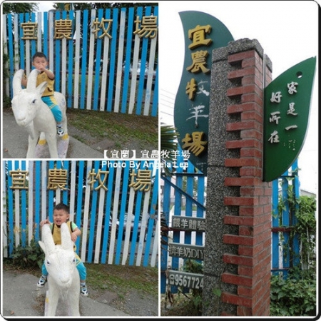 宜蘭宜農牧場:【宜蘭行】第三站:宜農牧羊場♡與羊共舞.小動物超可愛♡