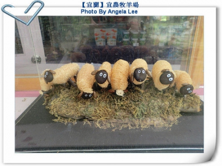 宜蘭宜農牧場:【宜蘭行】第三站:宜農牧羊場♡與羊共舞.小動物超可愛♡