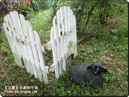 宜蘭宜農牧場:【宜蘭行】第三站:宜農牧羊場♡與羊共舞.小動物超可愛♡