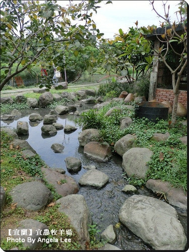 宜蘭宜農牧場:【宜蘭行】第三站:宜農牧羊場♡與羊共舞.小動物超可愛♡