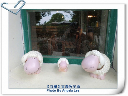 宜蘭宜農牧場:【宜蘭行】第三站:宜農牧羊場♡與羊共舞.小動物超可愛♡
