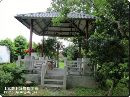 宜蘭宜農牧場:【宜蘭行】第三站:宜農牧羊場♡與羊共舞.小動物超可愛♡