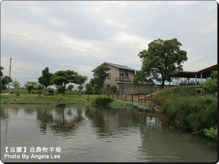 宜蘭宜農牧場:【宜蘭行】第三站:宜農牧羊場♡與羊共舞.小動物超可愛♡