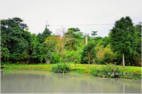 宜農牧場：【宜蘭】冬山鄉。宜農牧場