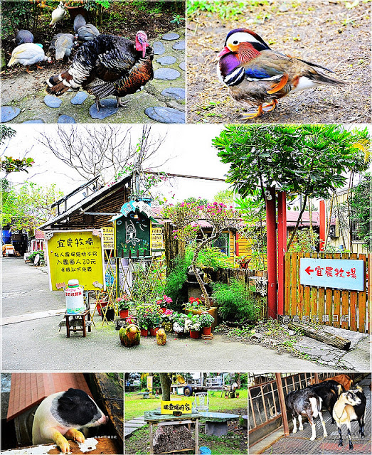 宜農牧場：【宜蘭】冬山鄉。宜農牧場