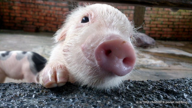 2014-08-20 14.36.38.jpg