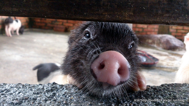 2014-08-20 14.36.34.jpg