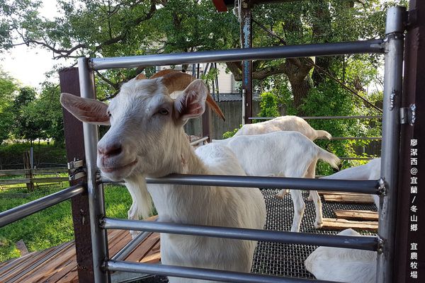 【宜蘭/冬山鄉】宜農牧場