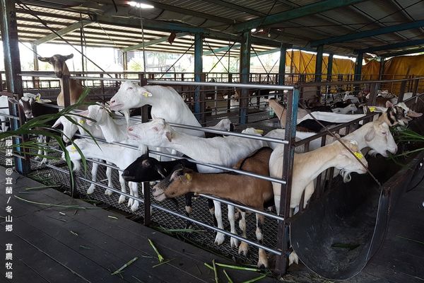 【宜蘭/冬山鄉】宜農牧場