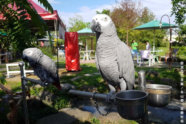 【宜蘭/冬山鄉】宜農牧場