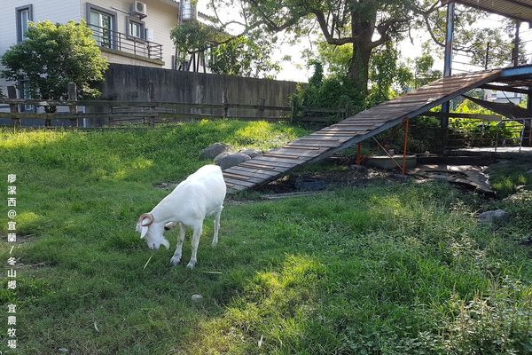 【宜蘭/冬山鄉】宜農牧場