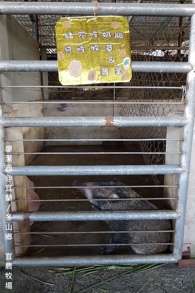 【宜蘭/冬山鄉】宜農牧場