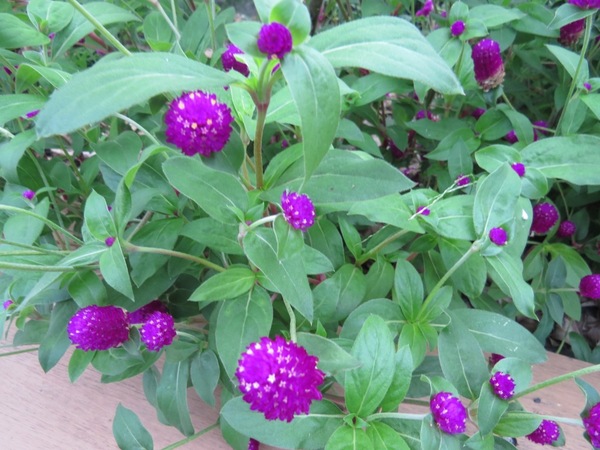 天送埤車站：尋找下一站幸福的起點【宜蘭/天送埤車站】