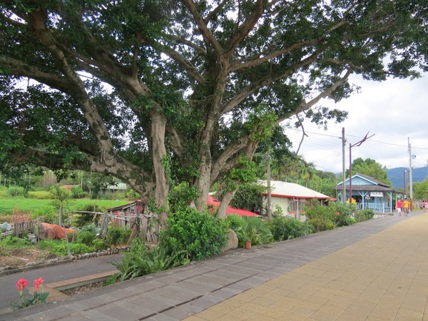 天送埤車站：尋找下一站幸福的起點【宜蘭/天送埤車站】