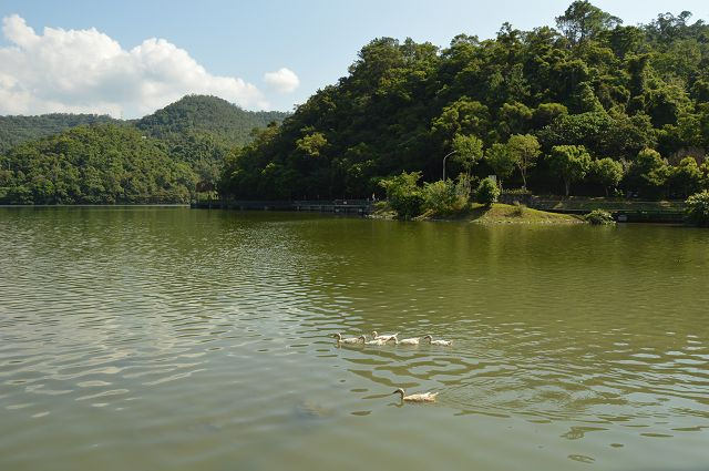 龍潭湖40