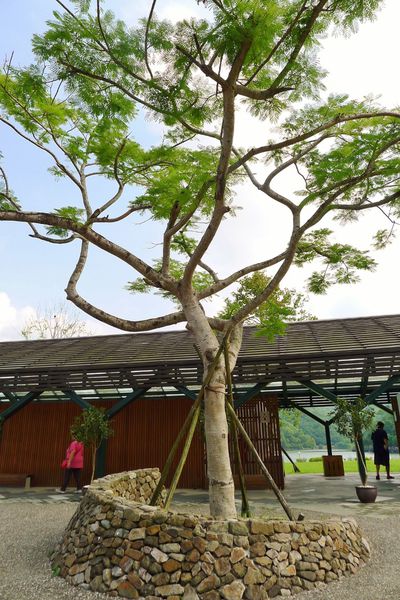 龍潭湖：宜蘭-讓人身心靈放鬆龍潭湖.悠閒走走去~