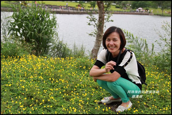 龍潭湖6.JPG