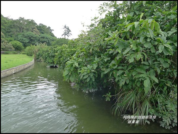 龍潭湖23.JPG