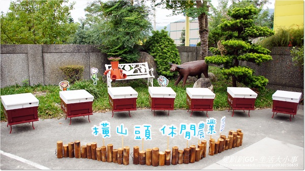 蜂采館:【宜蘭/員山】與蜂共舞.養蜂人家蜂采館