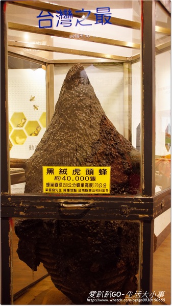 蜂采館:【宜蘭/員山】與蜂共舞.養蜂人家蜂采館