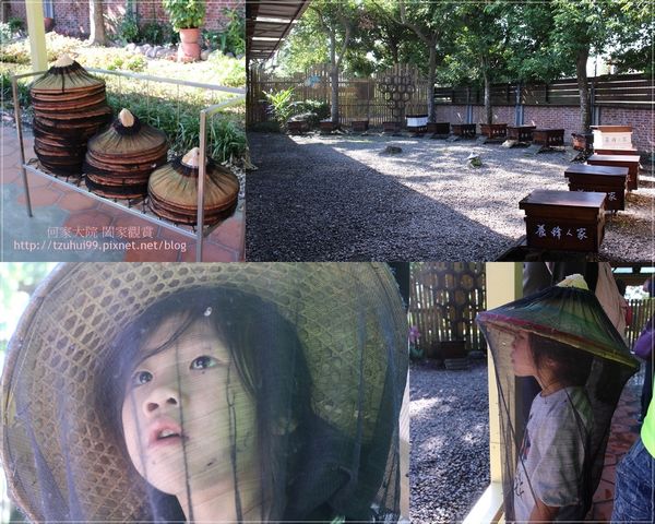 宜蘭養蜂人家蜂采館 11.jpg