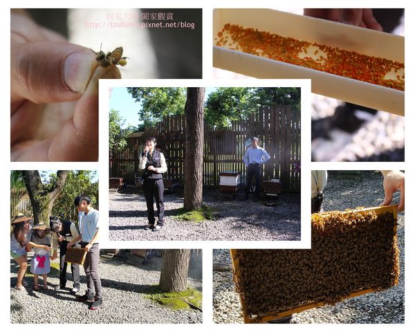 宜蘭養蜂人家蜂采館 12.jpg