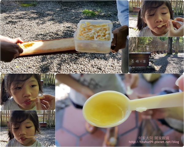 宜蘭養蜂人家蜂采館 13.jpg