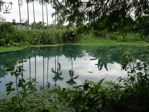 雷公埤:宜蘭●員山-雷公埤~簡單的秘境!釣客的最愛~❤