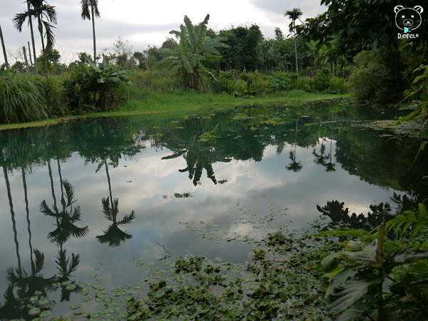 雷公埤:宜蘭●員山-雷公埤~簡單的秘境!釣客的最愛~❤