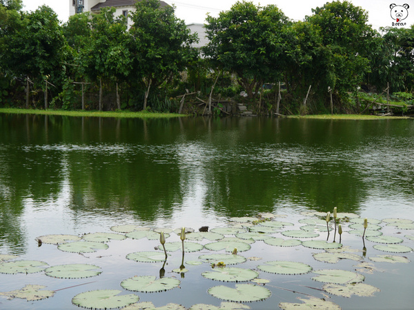 雷公埤:宜蘭●員山-雷公埤~簡單的秘境!釣客的最愛~❤
