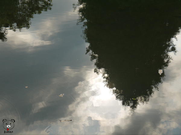 雷公埤:宜蘭●員山-雷公埤~簡單的秘境!釣客的最愛~❤