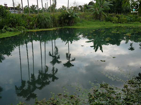 雷公埤:宜蘭●員山-雷公埤~簡單的秘境!釣客的最愛~❤