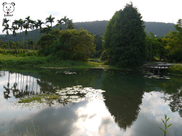 雷公埤:宜蘭●員山-雷公埤~簡單的秘境!釣客的最愛~❤