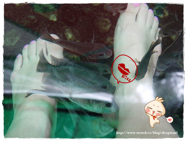 湯圍溝礁溪溫泉公園(WuanChuanGo Park)：[宜蘭‧礁溪] 湯圍溝溫泉公園 --- 溫泉魚咬咬初體驗，擺脫厚重腳皮，迎接光滑的腳ㄚ兒吧 ~