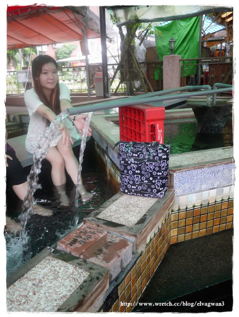 湯圍溝礁溪溫泉公園(WuanChuanGo Park)：[宜蘭‧礁溪] 湯圍溝溫泉公園 --- 溫泉魚咬咬初體驗，擺脫厚重腳皮，迎接光滑的腳ㄚ兒吧 ~