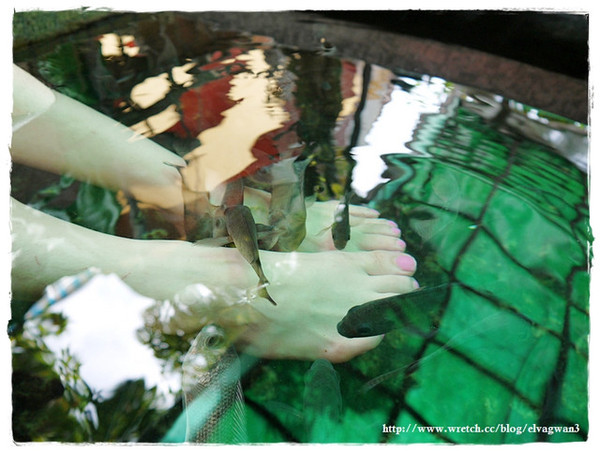 湯圍溝礁溪溫泉公園(WuanChuanGo Park)：[宜蘭‧礁溪] 湯圍溝溫泉公園 --- 溫泉魚咬咬初體驗，擺脫厚重腳皮，迎接光滑的腳ㄚ兒吧 ~
