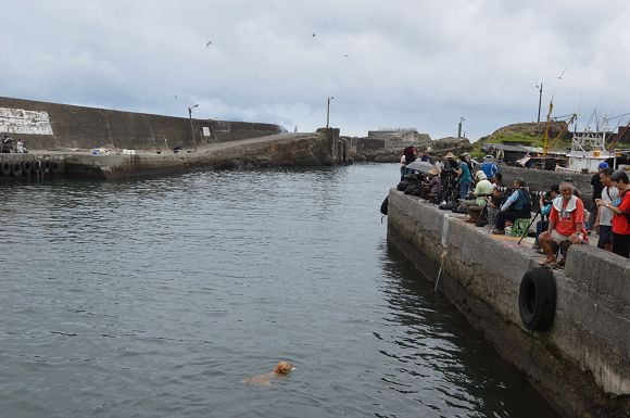 大溪漁港17
