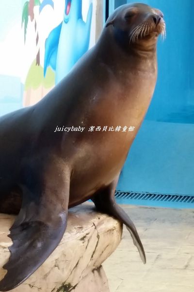 花蓮‧遠雄海洋公園