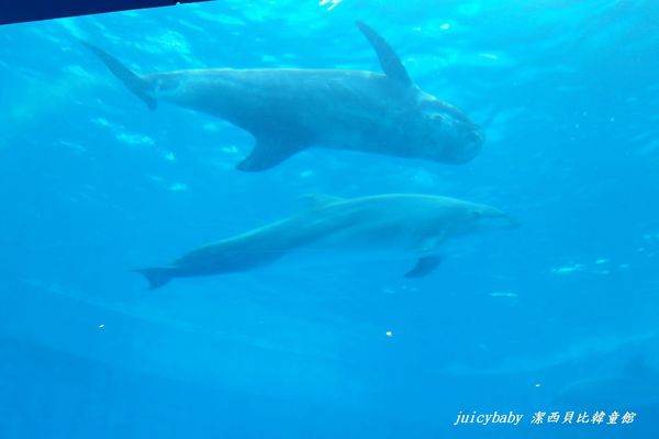 花蓮‧遠雄海洋公園