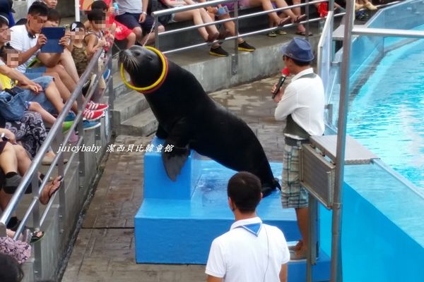 花蓮‧遠雄海洋公園