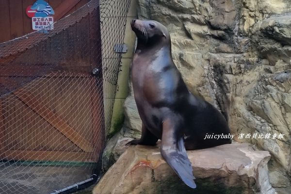 花蓮‧遠雄海洋公園