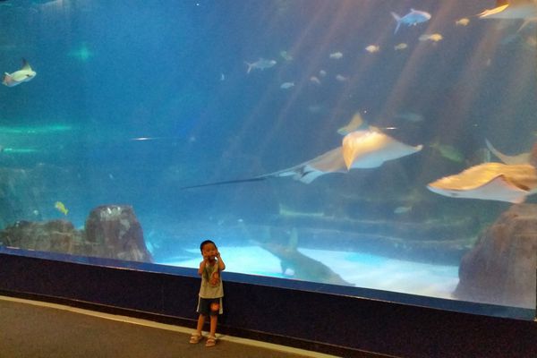 花蓮‧遠雄海洋公園