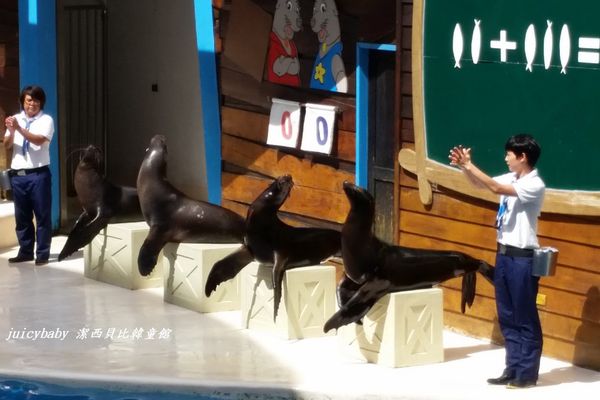 花蓮‧遠雄海洋公園