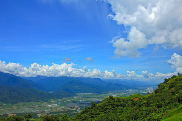 六十石山：[遊記]【花蓮富里鄉】六十石山。徜徉於金針花海