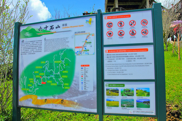 六十石山：[遊記]【花蓮富里鄉】六十石山。徜徉於金針花海