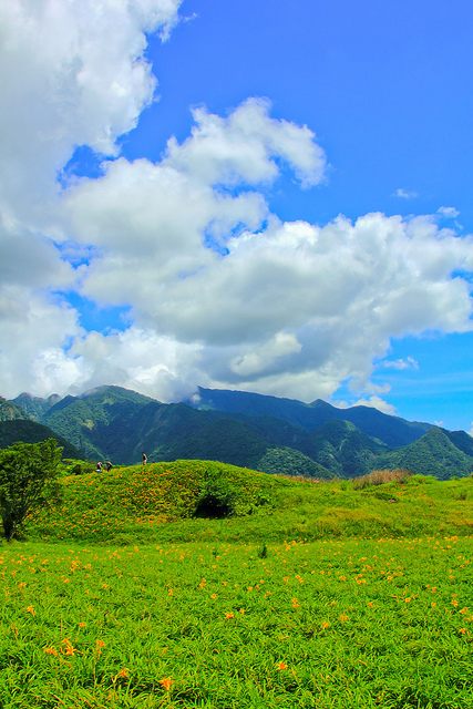 六十石山：[遊記]【花蓮富里鄉】六十石山。徜徉於金針花海