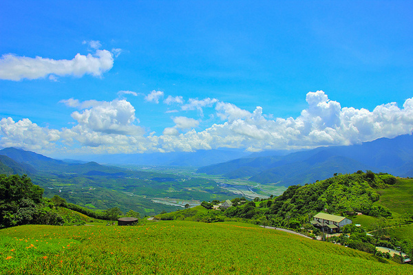 六十石山：[遊記]【花蓮富里鄉】六十石山。徜徉於金針花海