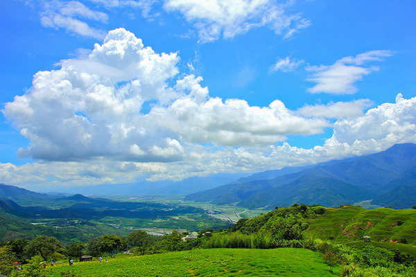 六十石山：[遊記]【花蓮富里鄉】六十石山。徜徉於金針花海