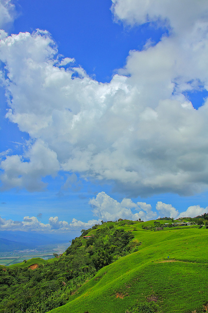 六十石山：[遊記]【花蓮富里鄉】六十石山。徜徉於金針花海